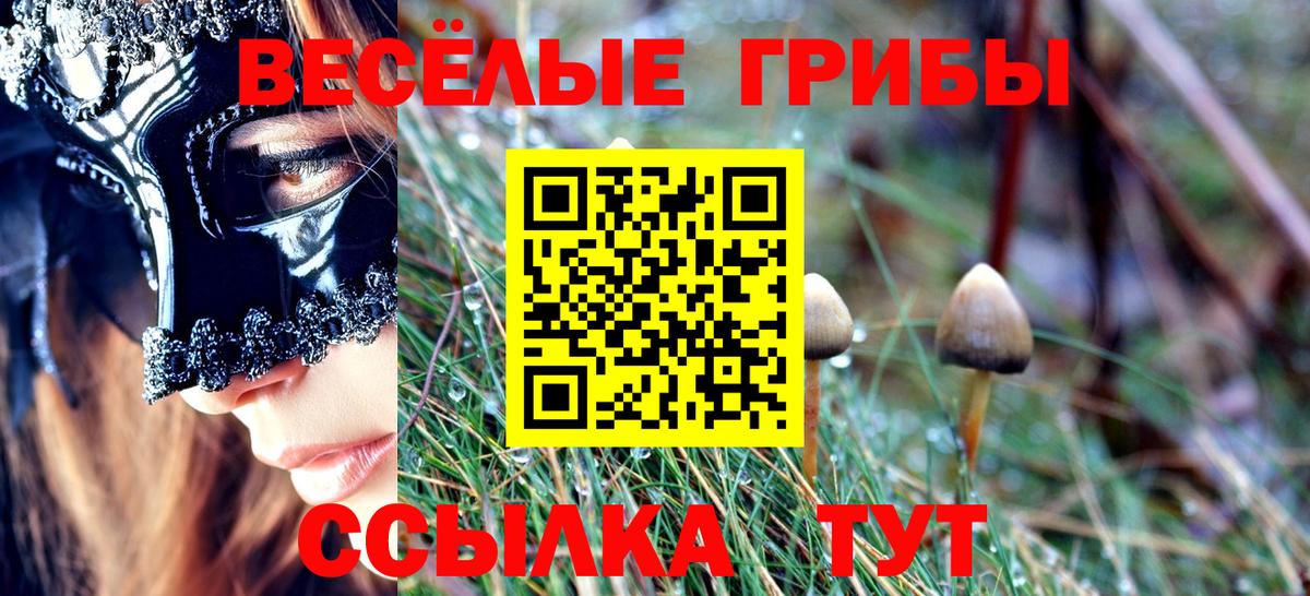 Чехов  Галлюциногенные грибы MAGIC MUSHROOMS  Галлюциногенные грибы Psilocybe  Вход с VPN 