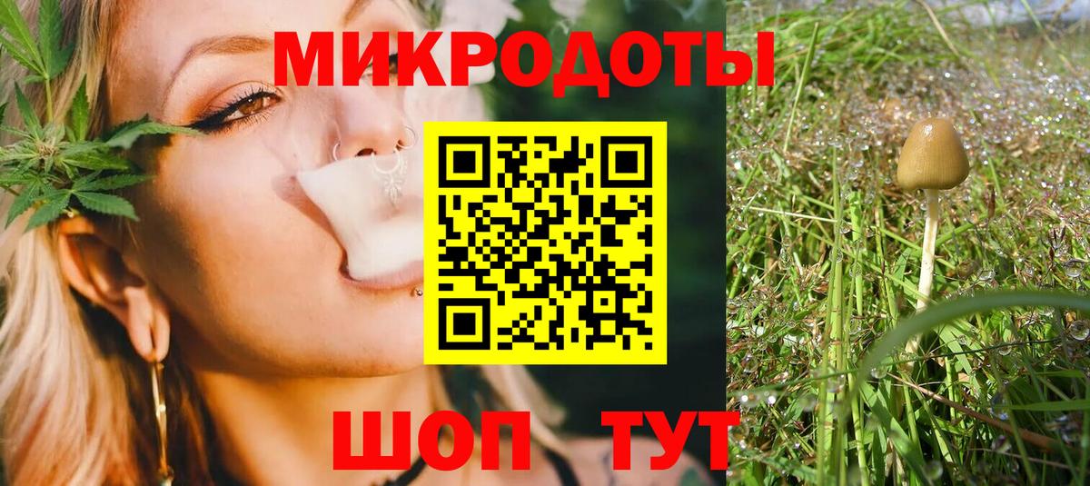 Псилоцибиновые грибы мицелий Чехов